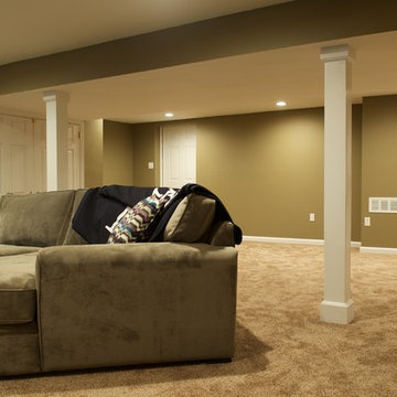 Basement Renovation