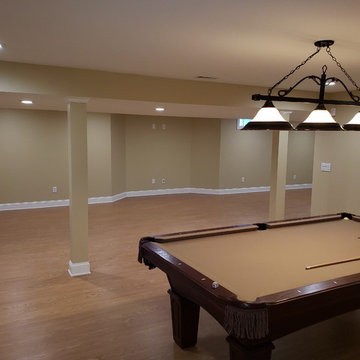 Basement Remodel