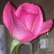 Foto von Roxanne Arndt