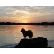 Louise Koerperich Colson's photo