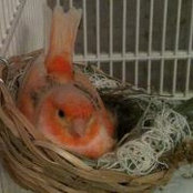 Inger MacRae's photo
