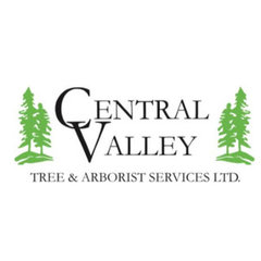 Central Valley Tree