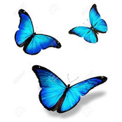 Nicole Kennedy's photo
