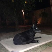 Alex van Devender's photo