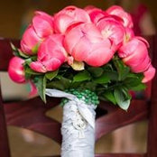 Caileen Tierney's photo