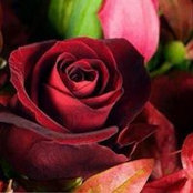 Nancy Pérez's photo