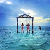 Amy Taylor's photo
