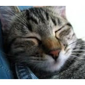 Mafalda Ono's photo