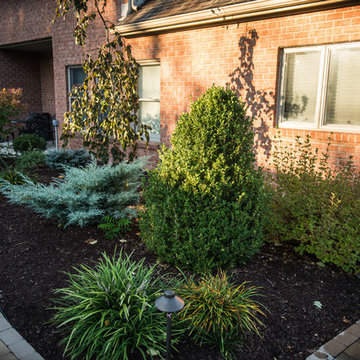 Landscape Designs