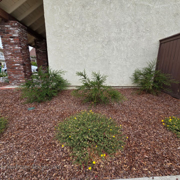 Irvine Turf Rebate Front Yard