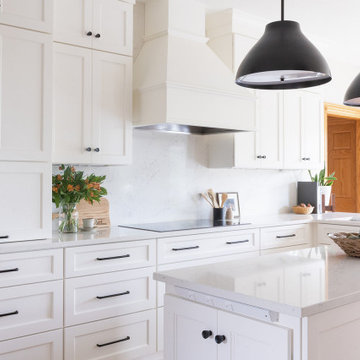 Simplistic Luxury Remodel