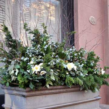 Christmas window boxes in Brooklyn