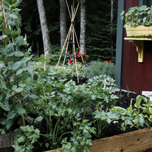 gardens