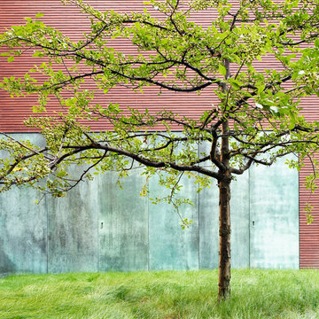 Wood House | 2013