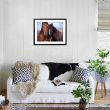 Horse picture