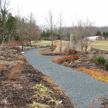 Deer Resistant Garden