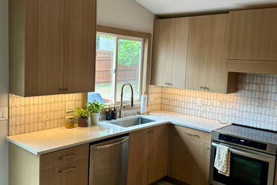 1960s kitchen photo in Denver
