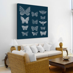 Patterned Moths - Products