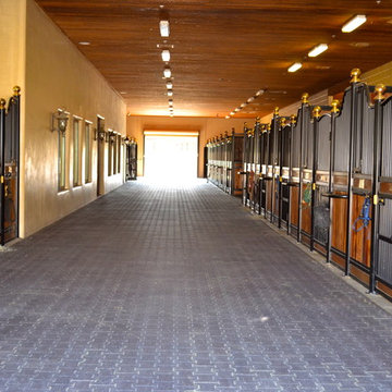 Scottsdale Barn and Horse Facilities
