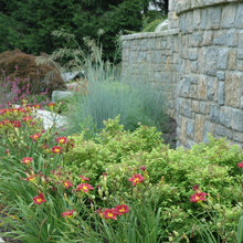 Landscape Ideas