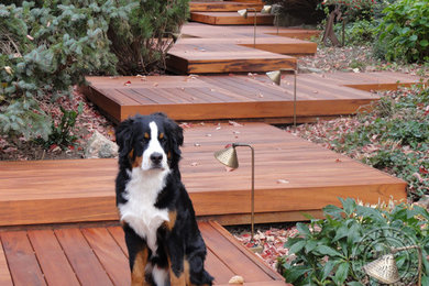 Deck - contemporary deck idea in Tampa