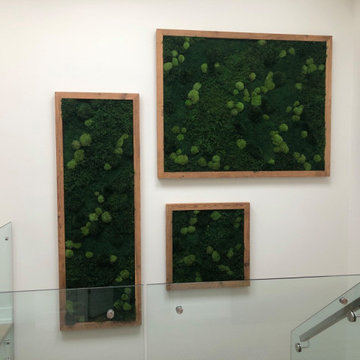 Residential Mixed Moss Features