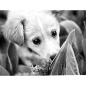 Jody Frank's photo
