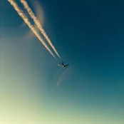Veletta Lill's photo