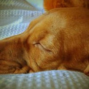 John Ainsley's photo