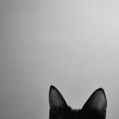 Kelly Taylor's photo