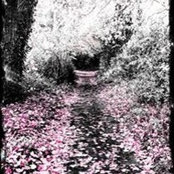 Beth Bowkett's photo