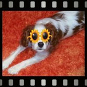 Kathy Hoffmanさんの写真