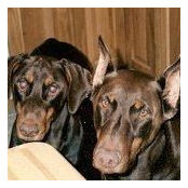 Nancy Lombardo's photo