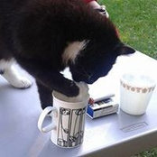 Pat Snowie's photo