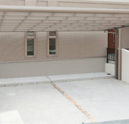 グリーン情報のバックナンバー 8ページ目 15件表示 雑誌 定期購読の予約はfujisan