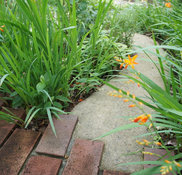 青山造園 神奈川県川崎市宮前区の造園 ガーデンデザイナー Houzz ハウズ