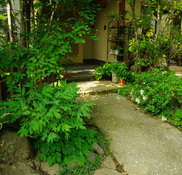安藤造園 長野県上田市の造園 ガーデンデザイナー Houzz ハウズ