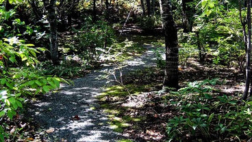 北海道の造園業者 ガーデンデザイナー 人気ベスト15 Houzz ハウズ