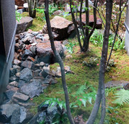 株式会社 荒木造園設計 大阪府池田市の造園 ガーデンデザイナー Houzz ハウズ