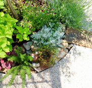 Garden Time 千葉県白井市の造園 ガーデンデザイナー Houzz ハウズ