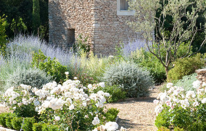 Lay of the Landscape: 12 Elements of Provence Garden Style