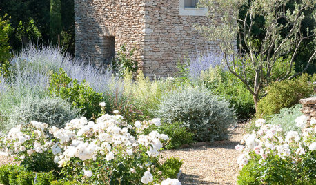 Lay of the Landscape: 12 Elements of Provence Garden Style