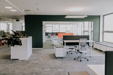 Großes Modernes Arbeitszimmer mit Arbeitsplatz, grüner Wandfarbe, Teppichboden, freistehendem Schreibtisch und grünem Boden in München