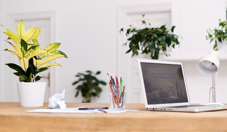 How Small Businesses Are Creating Healthy Office Spaces