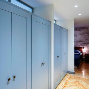 Foto di un grande armadio o armadio a muro unisex design con ante con riquadro incassato, ante blu e parquet chiaro