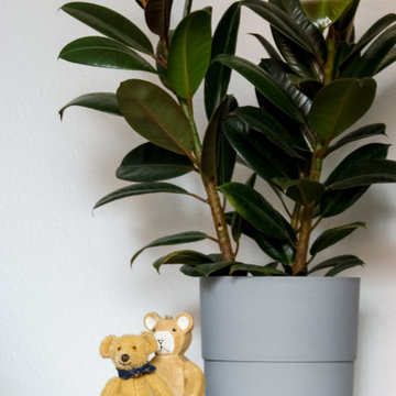 Bear and Plant Details
