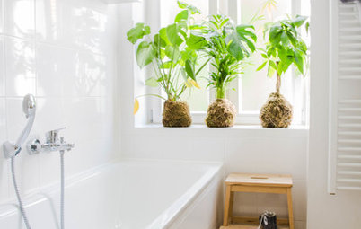 10 ideas para redecorar el baño por muy poco dinero