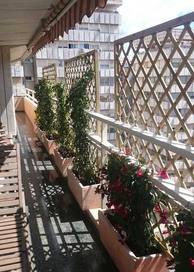 Неоклассика Балкон и лоджия by mundojardin