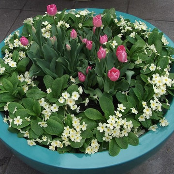 Contemporary colourful containers - spring