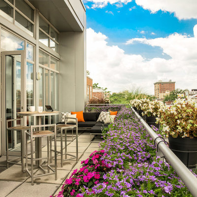 Balcony - mid-sized contemporary balcony idea in Other with no cover